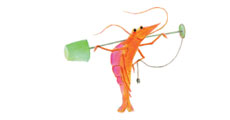 illustration happyshrimp lampe